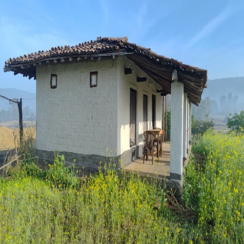 Mountain Mist  Mountain Mist